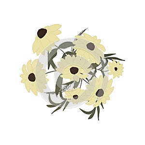 Pattern with large beige daisies with leaves in a bouquet. Illustration of flowers on a white background