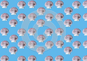 Pattern with large sea shells on blue background