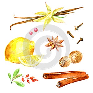 Pattern of a lemon, cinnamon, vanilla,badian, cloves, star anise.