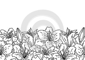 Pattern with lilies flowers. Beautiful decorative plants.