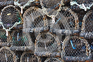 Pattern of lobster pots on habor side