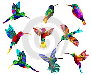 Pattern with Low poly colorful Hummingbird on white back ground,Isolated animal geometric, collection of birds concept,vector.