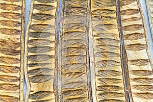 Pattern made from dried Caesalpinia pulcherrima sheath tree use