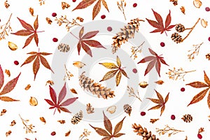 Pattern made of fall leaves, dried flowers and pine cones on white background. Flat lay, top view, Autumn composition.
