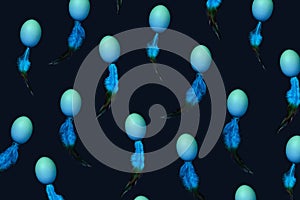 Pattern made of natural blue colored eggs and feather in spermatozoid shape on dark table.