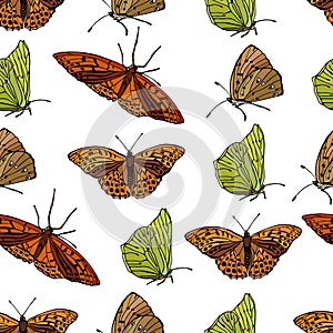 Pattern of many bright butterflies