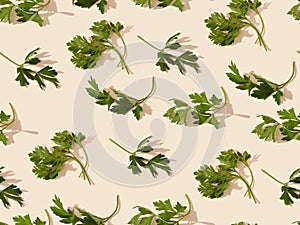 Pattern with many different green parsley leaves