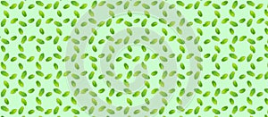 Pattern with mint leaves on the trendy solid green backdrop, ecology concept