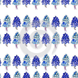 Pattern of Muscari inflorescence. Watercolor and ink spring flowers on a white background. swamless pattern
