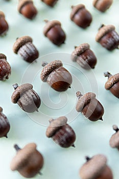 Pattern of oak tree acorns on light green background