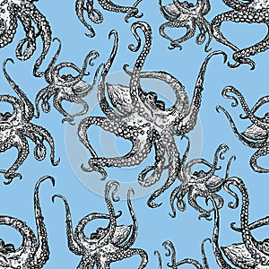 Pattern of the ocean octopus