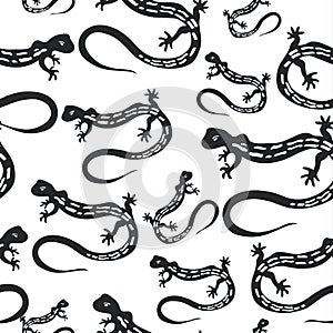 Pattern outline drawing black lizard on a white