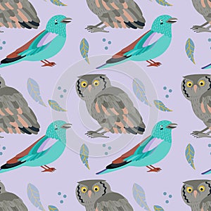 Pattern with owl, coraciiformes bird