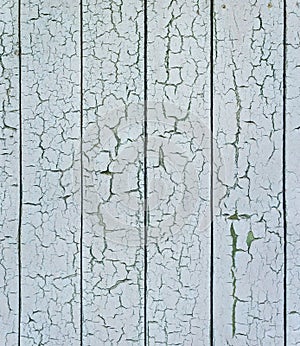 Pattern of paint cracks