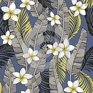 pattern of palm and banana leaves and plumeria