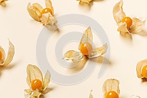 Pattern with Physalis fruit or Physalis peruviana, small golden berries Vegetarian and healthy