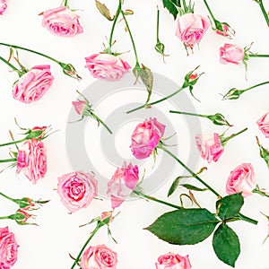 Pattern with pink roses, buds and leaves on white background. Flat lay, Top view. Roses flowers texture, woman day