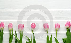 Pattern of pink tulips