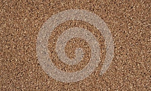 Pattern of pith surface