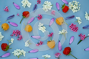 Pattern from plants, flowers and berries on light blue background. Top view. Concept of a summer flourish