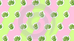 Pattern of plates with lightly fried brussels sprouts on the neon green and pink color drop