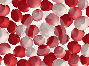 Pattern of red and pink circular shapes