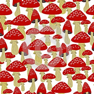 Pattern with redamanita mushrooms. Vector illustration. photo