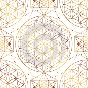 Pattern of Sacred Geometry Symbol. Vector illustration