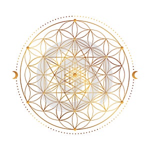 Pattern of Sacred Geometry Symbol. Vector illustration
