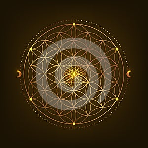 Pattern of Sacred Geometry Symbol. Vector illustration