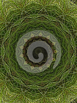 The pattern is the same with the green tone in the circle.