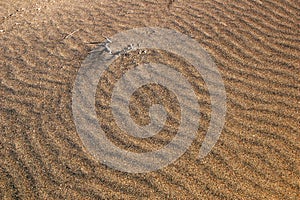 Pattern in the sand