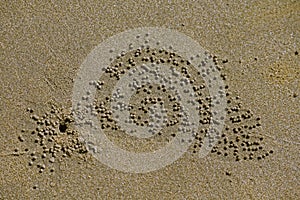 Pattern in the sand , created by small crabs