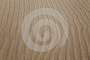 Pattern on the sand in the dunes. Close-up. Top view. Space for text. Background