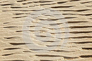 Pattern on the sand in the dunes. Close-up. Top view. Space for text. Background