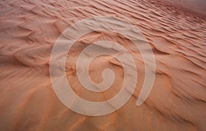 Pattern of sand dunes of Empty Quarter desert