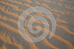 Pattern of sand dunes of Empty Quarter desert