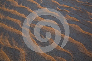 Pattern of sand dunes of Empty Quarter desert