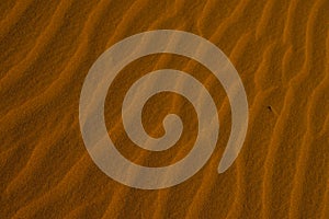 Sahara is the largest desert in the world