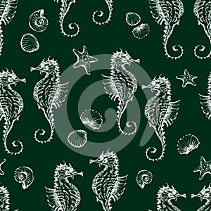 Pattern of seahorses and seashells sketches