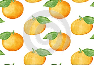 pattern seamless background Watercolor fresh whole orange fruit hand drawing painted illustration isolated on white background