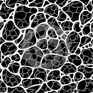 Pattern seamless - cells veins spider webs or neurons