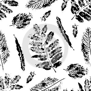 Pattern seamless monotype leaf plant. Botanical stamp print,