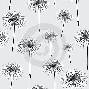 Pattern seamless texture background fluffy dandelion black on gr