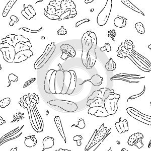 Pattern seamless vegetables line doodle. Varieties cabbage and other plant foods vector sketch black isolated