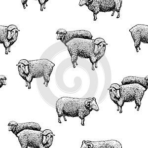 Pattern with sheep