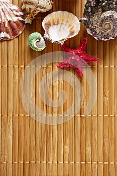 Pattern from shells on a wooden surface