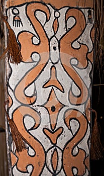 The pattern on the shield of a warrior Asmat tribe.