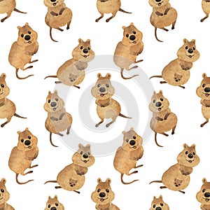 Pattern smiling australian quokka. Cute kawaii hand drawn watercolor