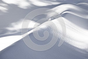 Pattern of snow in the Sequoia national park